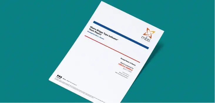 MBTI Team Report